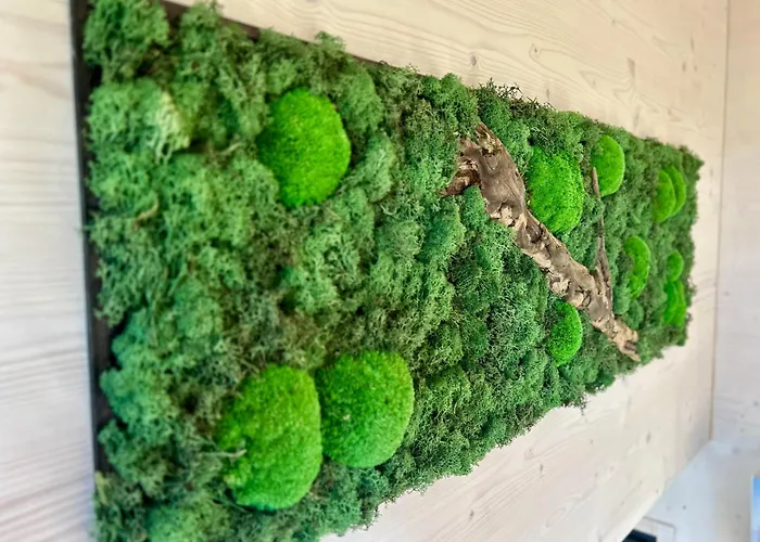 Appartement Tiny House Abenteuer Mit Hot Tub Scharten