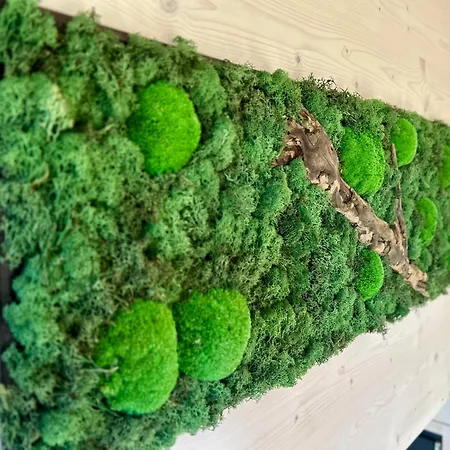 דירה Tiny House Abenteuer Mit Hot Tub Scharten